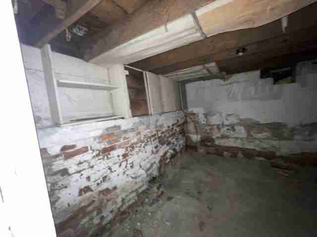 17257 bloom (52).jpg